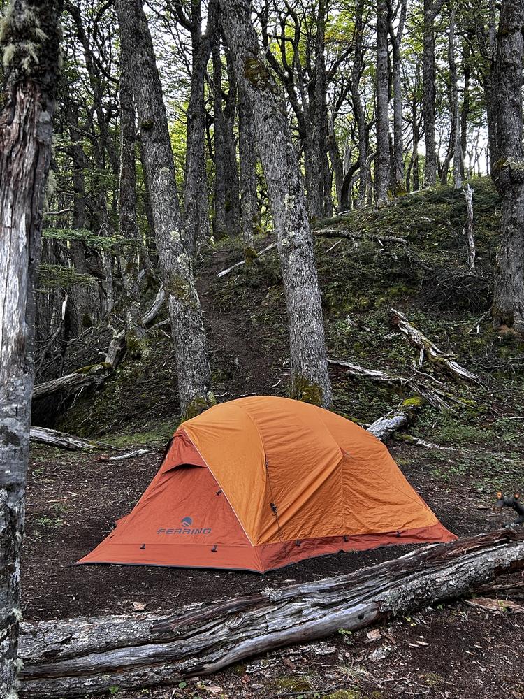 Carpa de campamento entre bosque nativo en la travesía Torres del Avellano