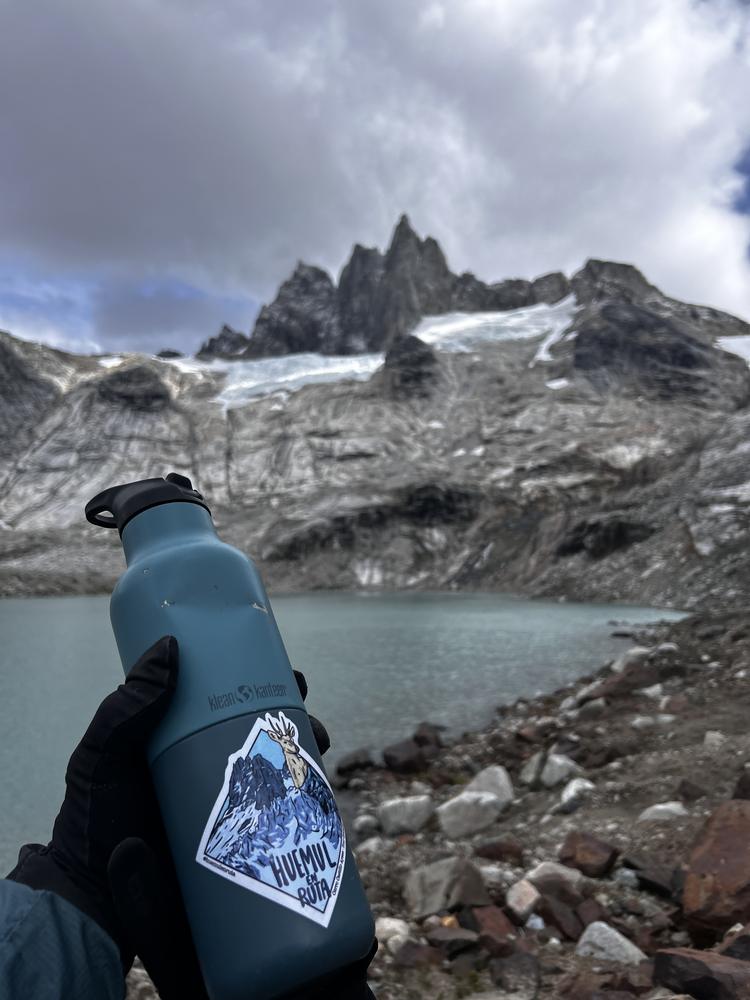Botella Huemul en Ruta con vista a las Torres del Avellano de fondo